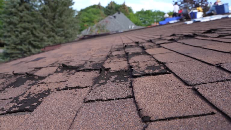 Skylights in Waukesha, WI